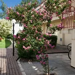 In Plaza